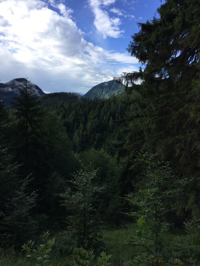 Ferienwohnung Almflair Chalet Thiersee Dış mekan fotoğraf